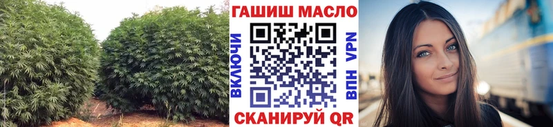 ОМГ ОМГ ONION  цены   Нерехта  Дистиллят ТГК концентрат 